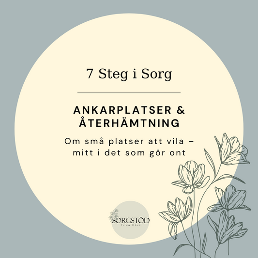 Avsnitt: Ankarplatser och återhämtning – 1 ljudavsnitt + reflektionsövning för dig som vill landa djupare